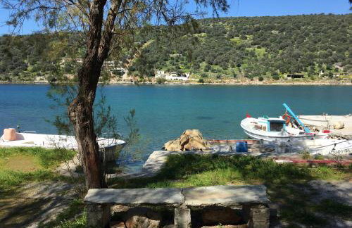 Sea Front Studio - Porto Buffalo - Evia - Foto 17