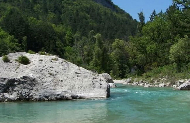 Domaine du Couriou - Foto 65