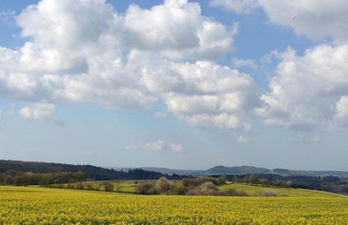 Fewo Vulkaneifel - Foto 23