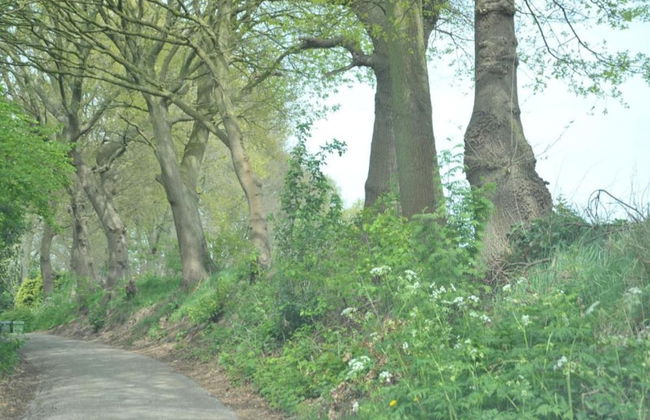 Villa in Bergen op Zoom With Luxury Interiors - Foto 30