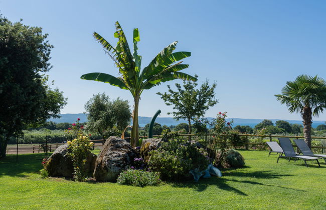 Rosa Bacara - Foto 25