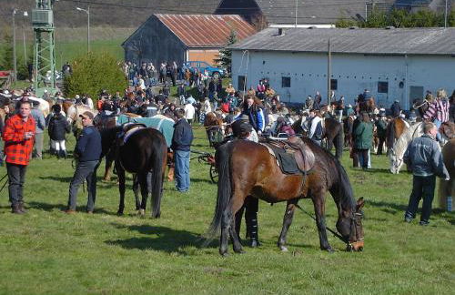 Ferienwohnung Eifelluft - Foto 28