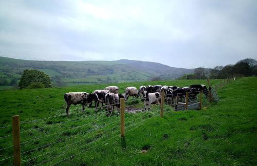 Famau View Farm- Stunning countryside location - Foto 43