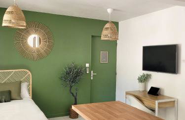 Studio double climatisé avec terrasse - Proche Tram & Centre - Foto 18