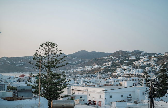 aniko suites White Alley - Photo 52