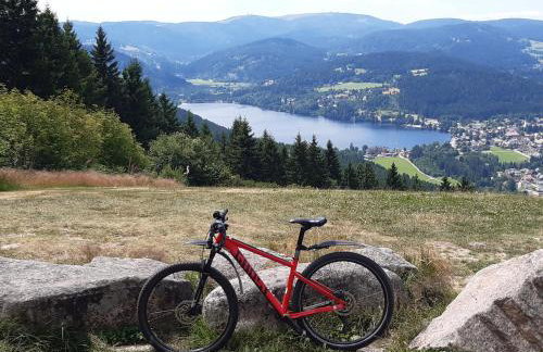 Kopf Frei auf 1000 Meter Wohnung 1 - Foto 31