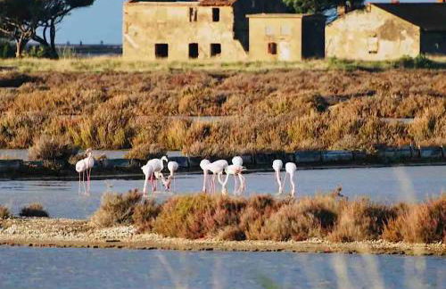 Les flamants Roses la Capte Clim 4pers 100m plage - Foto 23