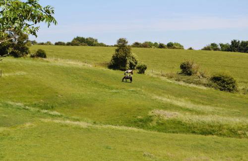 Coombe Wood Coach House - Foto 26