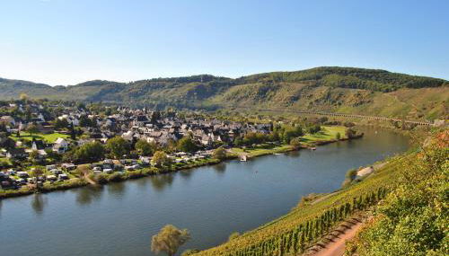 Weingut Markus Busch - Foto 4