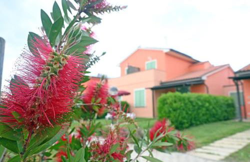 Rosa Dei Venti - Foto 7