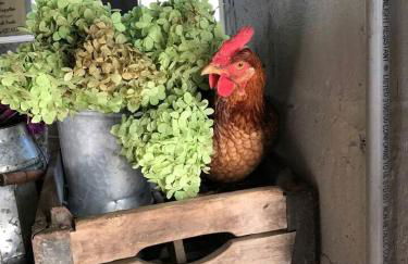 Pleasant Cozy Airstream with Amazing Stargaze and Farm Views in Maryland - Foto 10