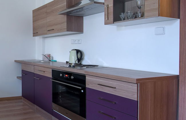 Residence Dobrovskeho 30 - Foto 18