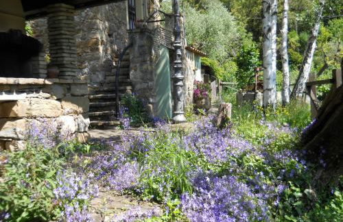 Lo Scoiattolo - Foto 16