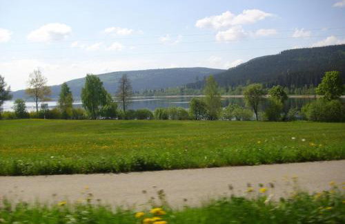 Apartment Wannenhof historisch by Interhome - Foto 24