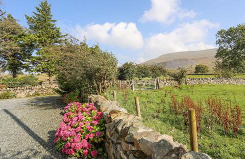 Ffynnon Bach - Foto 32