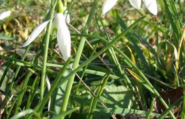 Agriturismo Al Vecchio Portico - Photo 52