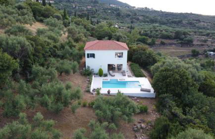 Kyparissia De Wandelboom - Foto 16