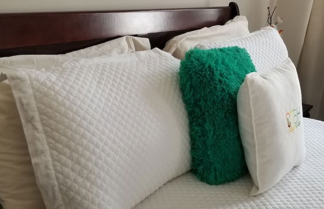 New Kingston Guest Apt at Kingsway - Foto 2