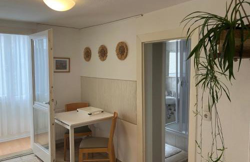 Fewo in der Altstadt - Enz - Photo 8