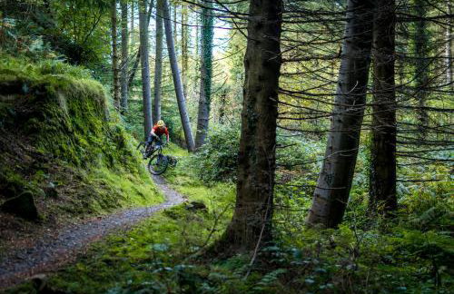 The Downshire Arms Apartments Hilltown - Foto 71