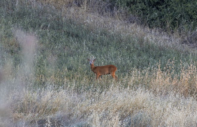 Vento Dorcia - Foto 48