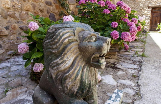 Castillo de Añón de Moncayo - Foto 22