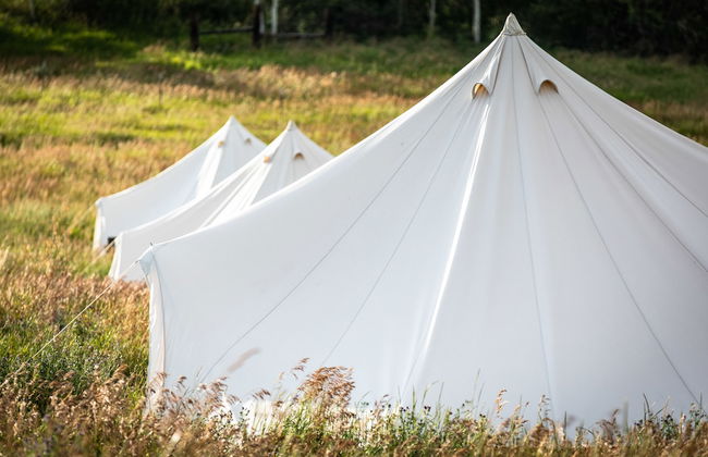 Conestoga Ranch - Foto 35