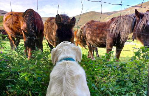 Apartamento Reina de la Paz en San Sebastián de Garabandal - Foto 39