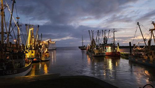 Ferienwohnung Leuchtturmblick - Foto 3