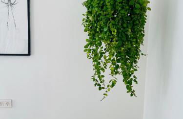 CASA MIRABEL - Foto 10