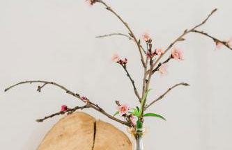 Casa Ti'Rosa - Foto 9