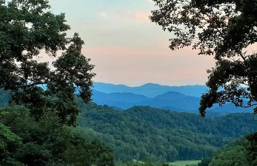 Treetops Cabin easy to Asheville with fast wifi and great view - Foto 25