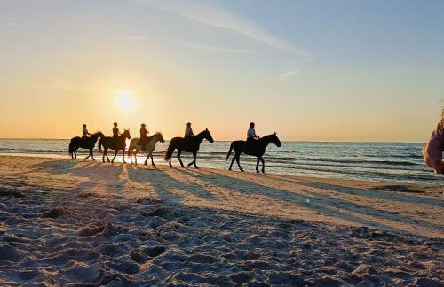 Domek Letniskowy Oktawin - Foto 13