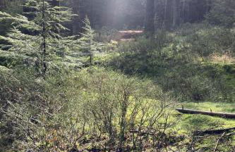 Holiday Home Exklusives Ferienhaus mit Terrasse und Garten by Interhome - Foto 49