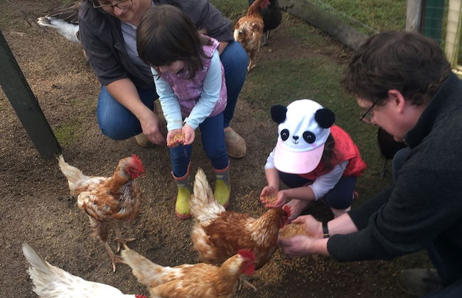 Clandulla Cottages - Foto 34