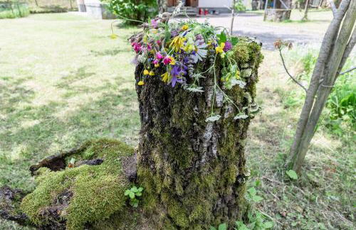 La Casa di Luisa, Un tuffo nel verde! - Foto 15