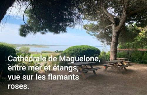 Appartement 1ere ligne piscine terrasse au bord de la plage front de mer avec vélos - Foto 64
