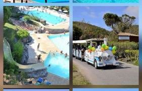 Les Oliviers de l'Esterel - Foto 24