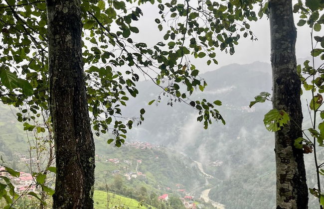 Relax Dağ Evleri - Foto 65