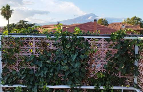 Greenhouse - Foto 37