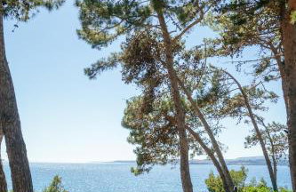 Via Lassi Kefalonia - Photo 34