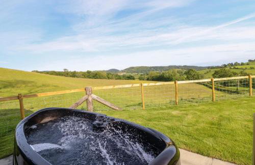 Defaid Cymreig - Foto 23