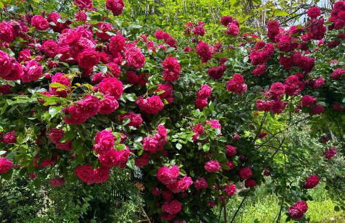 Wohnen & Kunst - Foto 30