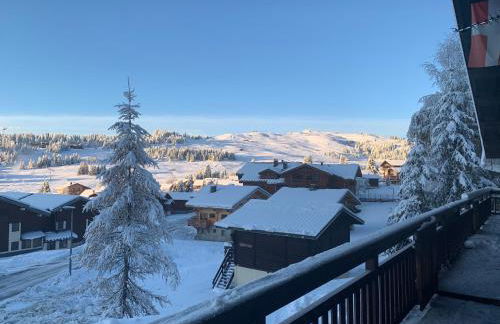 APPARTEMENT PLEIN SUD AUX SAISIES N°6 - Foto 31