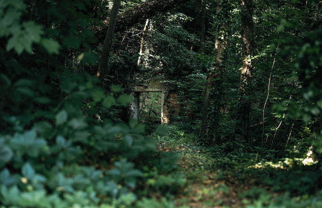 Cabane de la Saône by Lyon Country House - Foto 20