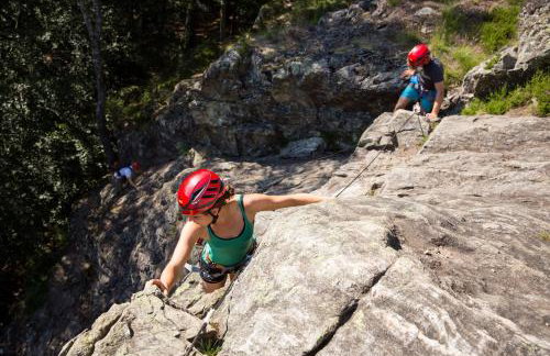 Schwarzwaldglück Loft - Foto 40