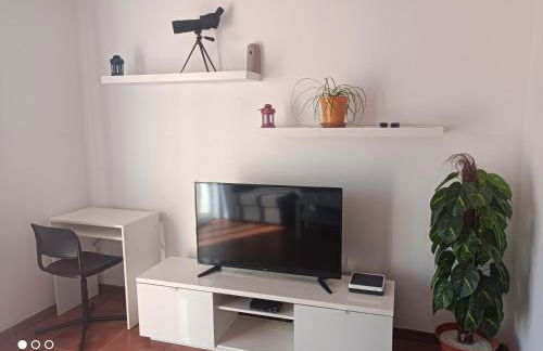 ELE HAUSE Tropical Paradise - Photo 12