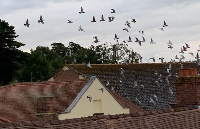 Modern Penthouse With Views in Stroud - Foto 50