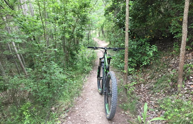 Masia La Safranera - Foto 39