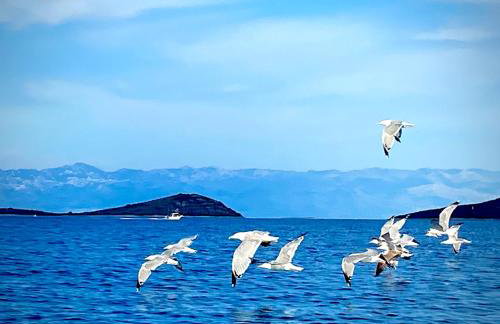 Gajeta Residence Božava - Foto 9